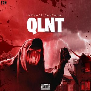 QLNT 8D (Explicit)