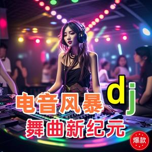 野狼DISCO-环尼宝贝乐团