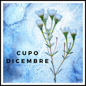 Dicembre