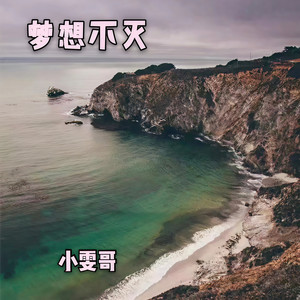 一生所爱-小雯哥