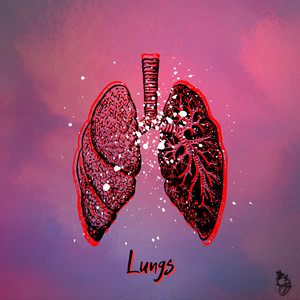 Lungs