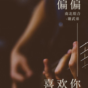 南北组合_谢武弟《偏偏喜欢你》[MP3_LRC]_MP3免费下载