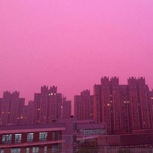 ＰＩＮＫ ＨＡＺＥ