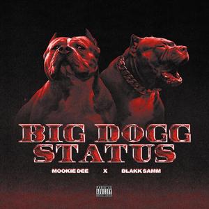 Big Dogg Satus (feat. Blakk Samm) [Explicit]