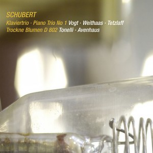 Schubert: Piano Trio No. 1 in B-Flat Major, D. 898 - I. Allegro moderato (Live)