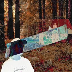 Running In The Woods