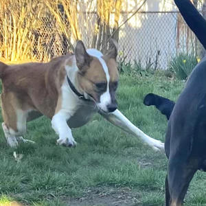 Break My Bones! (feat. popularreject) (Explicit)