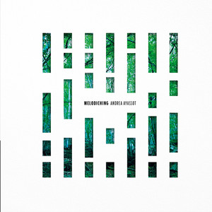 Incompiuto - Postfazione