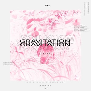 Gravitation (The Remixes)