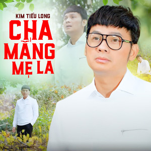 Đêm Mưa Nhớ Mẹ