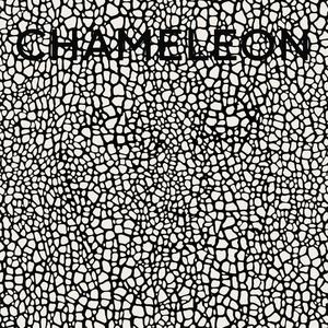 Chameleon (feat. Joe Bruce) (Explicit)