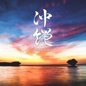 Various Artists - 花