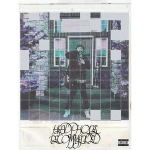 VAN CLEEF (feat. Gionne) (Explicit)