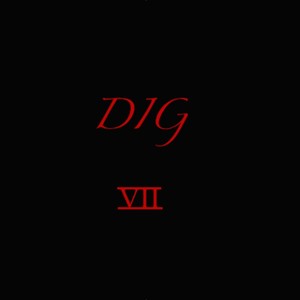 Dig VII