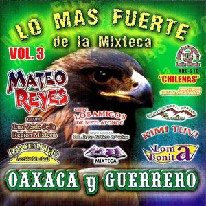 Lo Mas Fuerte De La Mixteca Oaxaca Y Guerrero, Vol. 3