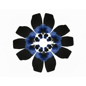 Last Night (feat. Beraud)