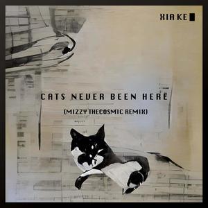 Cats Never Been Here (Mizzy TheCosmic Remix)