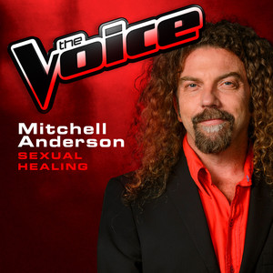 Sexual Healing (The Voice 2013 Performance)