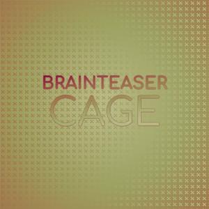 Brainteaser Cage