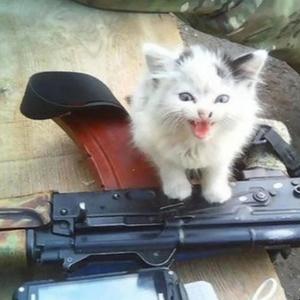 B ignorant (Explicit)