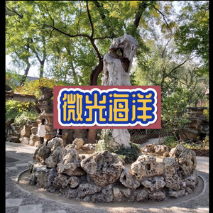 你的猫咪 (帅气版)