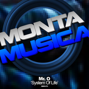 System of Life (Radio Mix)