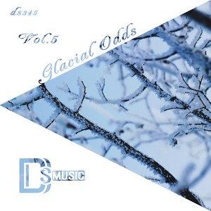 The Summer, a Dream (Vasily Goodkov Remix)