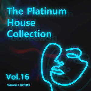 Various Artists - The Platinum House Collection Vol.16