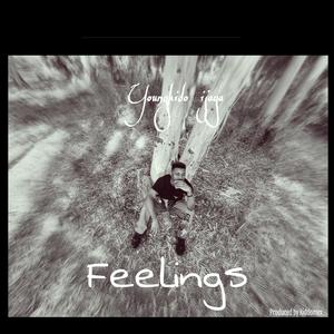 Feelings