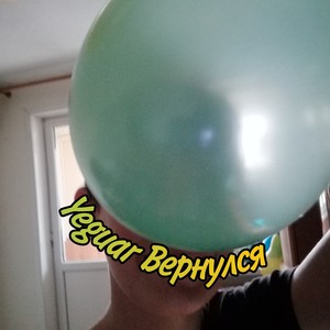 Yeguar вернулся