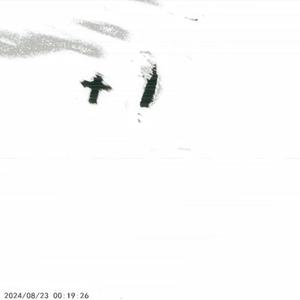 drinking after dark (Explicit)