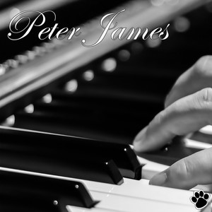 Someone Like You(Adagio)