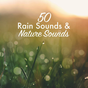 50 Rain Sounds & Nature Sounds