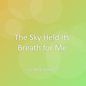 The Sky Held Its Breath for Me