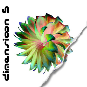 Dimension5