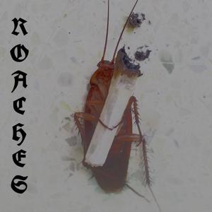 TWENTYTWENTY5 (Explicit)