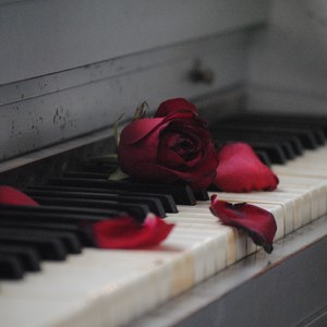 ”The Ultimate Collection of Deeply Moving Piano”