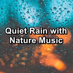 Quiet Rain with Nature Music