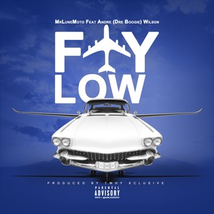 Fly Low (feat. Andre "Dre Boogie" Wilson) - Single [Explicit]