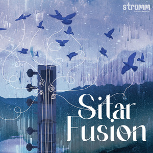 Sitar Fusion