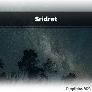 Sridret Compilation 2023