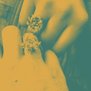 Song 1 (Slowed and Reverbed)