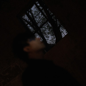 平原上的白色烟火