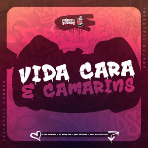 Vida Cara E Camarins (Super Slowed|Explicit)