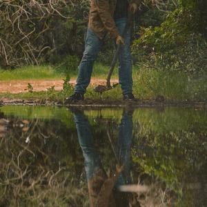 who's driving? (hwy II)