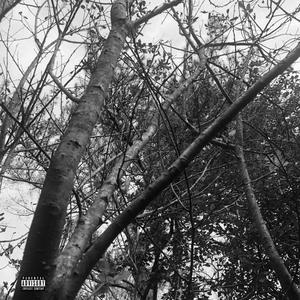 Knew Tape, Vol. 1: Genesis (Verse 2) [Explicit]