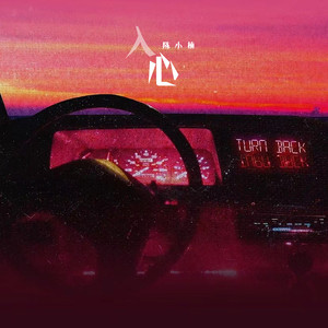 入心 (DJ阿本版)