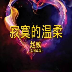 寂寞的温柔 (DJ阿卓版)