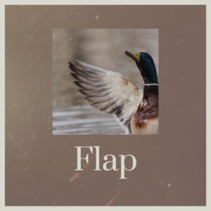 Flap