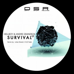 Awake (Julian Brand Remix)